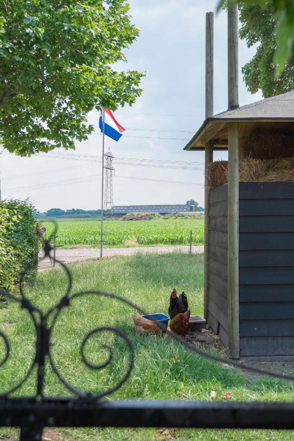 Apartamento De Dorsvloer Drimmelen Exterior foto